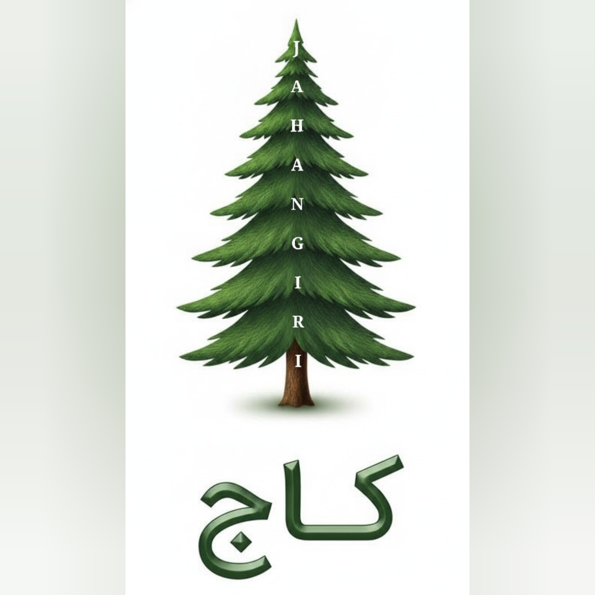 لباس زیر کاج